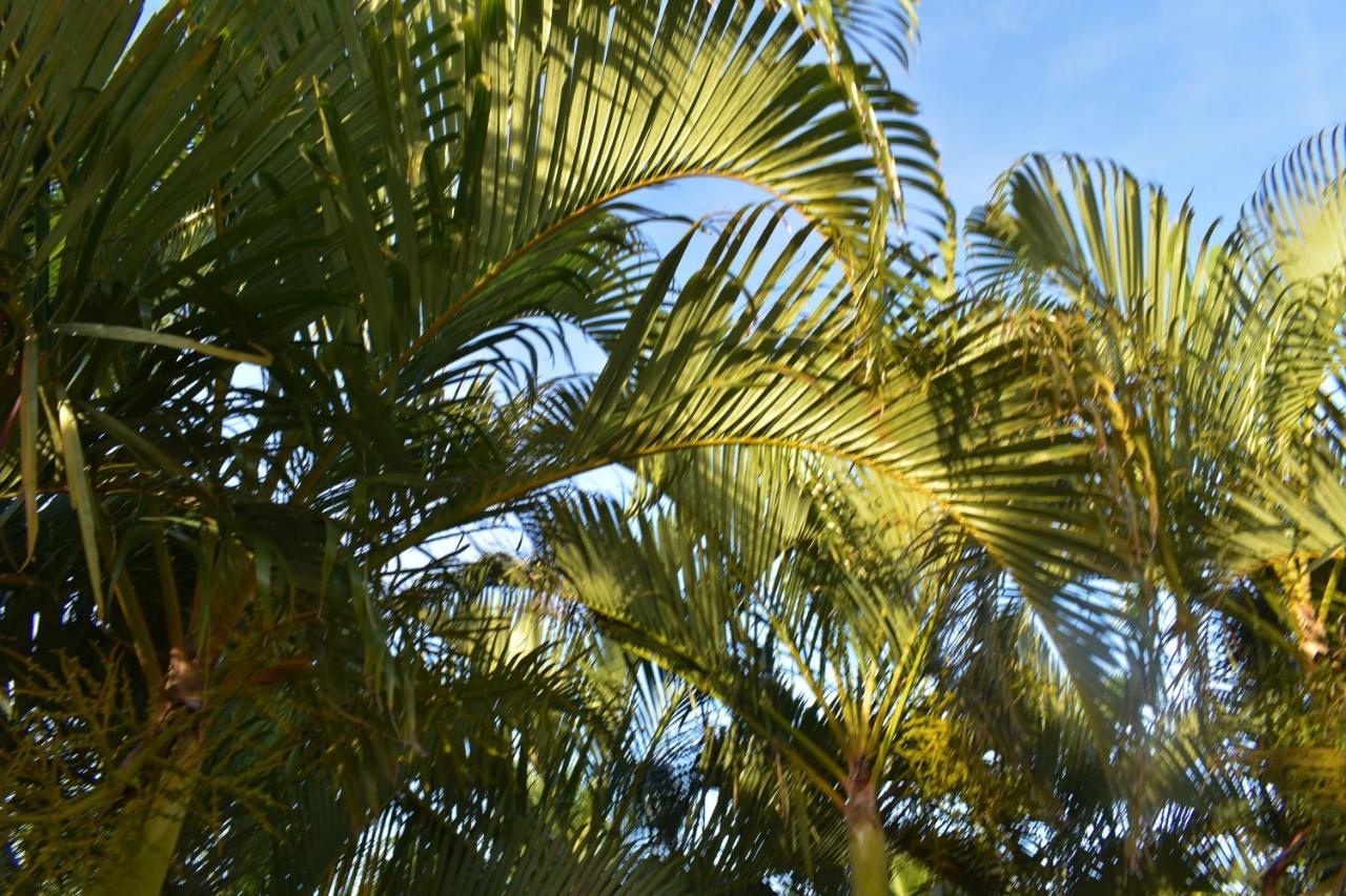 Hibiscus Center Hotel